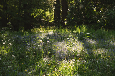 Similar image 21481149