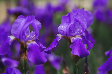 Similar image 21481163