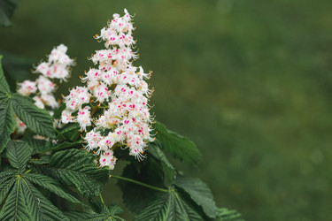 Similar image 21481164