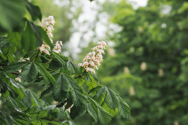 Similar image 21481166