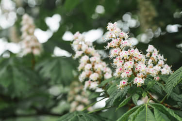 Similar image 21481168