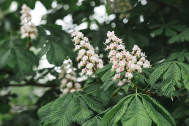 Similar image 21481169