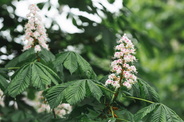 Similar image 21481171