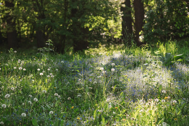 Similar image 21481184