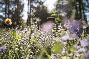 Similar image 21481194