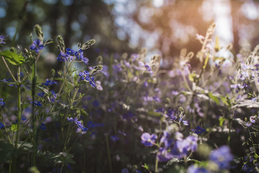 Similar image 21481204