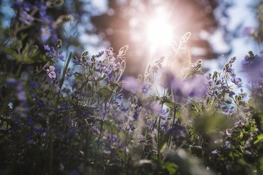 Similar image 21481210