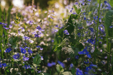 Similar image 21481212