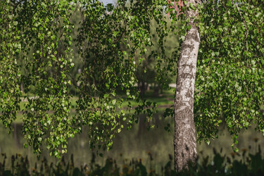 Similar image 21481217