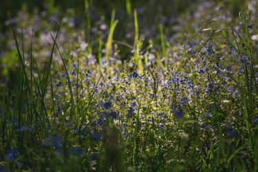 Similar image 21481218