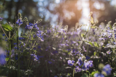 Similar image 21481220