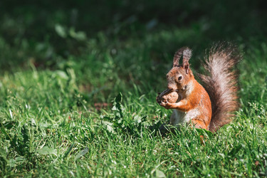 Similar image 21481409