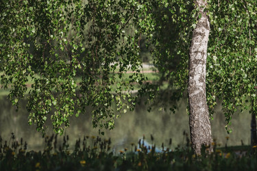 Similar image 21481225