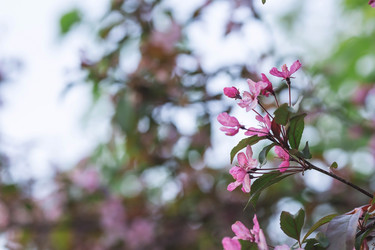 Similar image 21481266