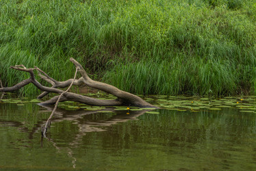 Similar image 21481062