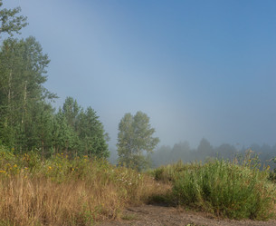 Similar image 21481063