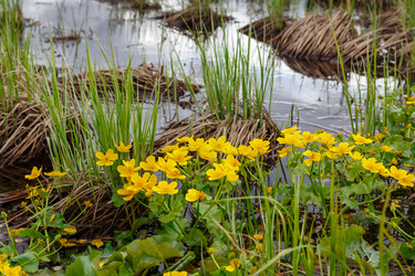 Similar image 21480217