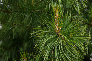 Similar image 21480219