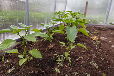 Similar image 21480220