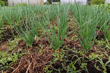 Similar image 21480227