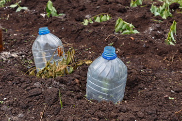 Similar image 21480228