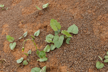 Similar image 21480230