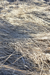 Similar image 21480288