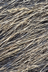 Similar image 21480290