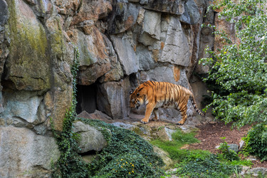 Similar image 21481065