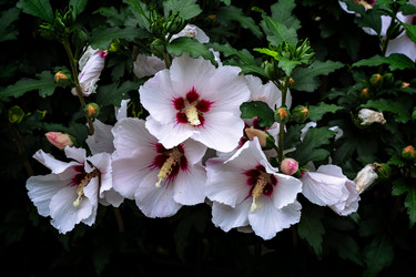 Similar image 21481066