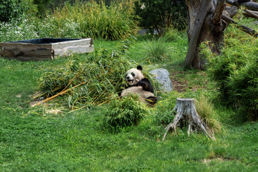 Similar image 21481067