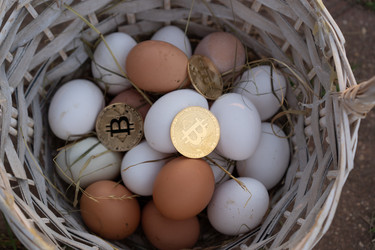 Similar image 21481632