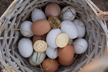 Similar image 21481633