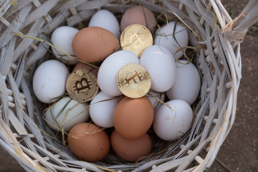 Similar image 21481634