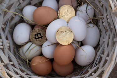 Similar image 21481635