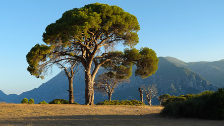 Similar image 21481549