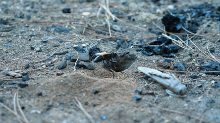 Similar image 21481640