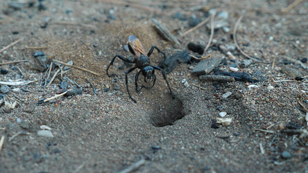 Similar image 21481550