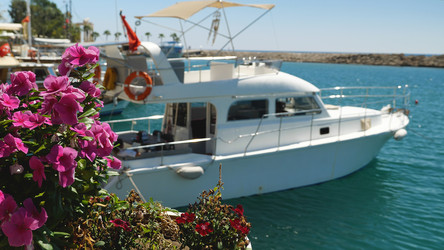 Similar image 21481648