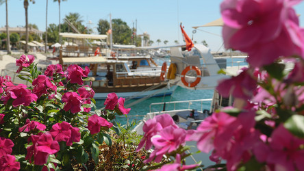 Similar image 21481558