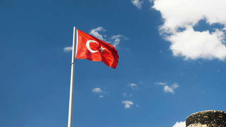 Similar image 21482011