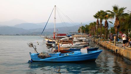 Similar image 21482015