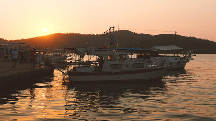 Similar image 21482016