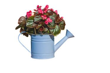 Similar image 21482029