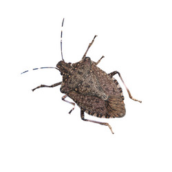 Similar image 21482032