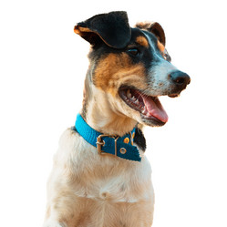 Similar image 21481567