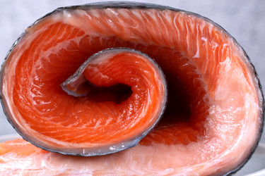 Similar image 21481271