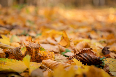 Similar image 21481668