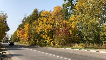 Similar image 21481671