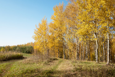 Similar image 21481672